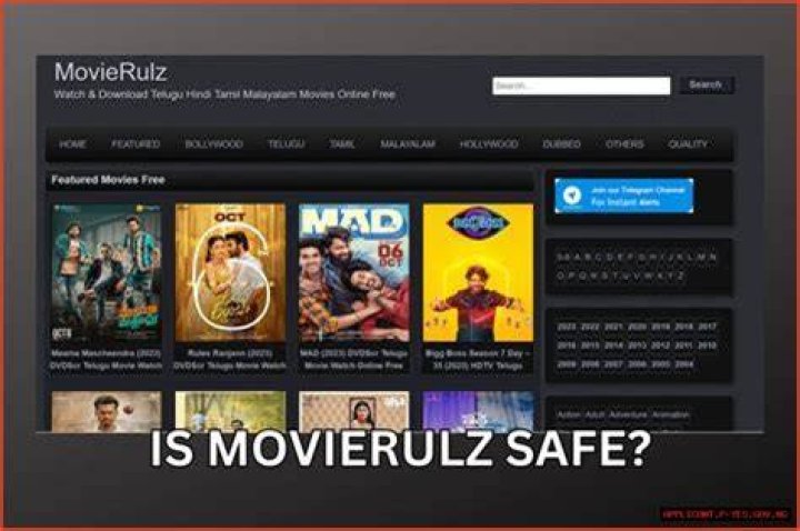 A Comprehensive Guide to Understanding Movierulz 2024 and Its Implications