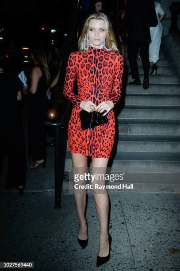 Abbey Lee Kershaw is Seen Out in Sydney Before Film Premiere The