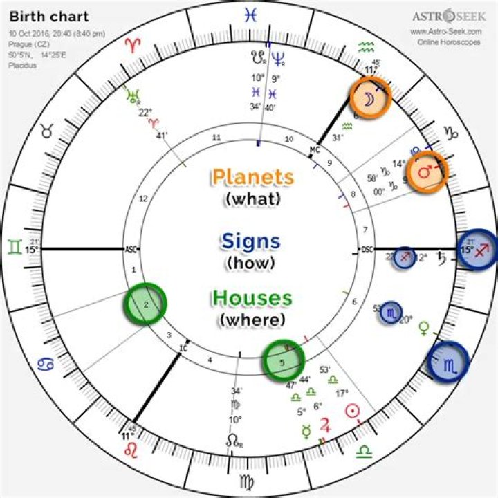 Alan Rickman&rsquo;s natal birth chart, kundli, horoscope, astrology forecast