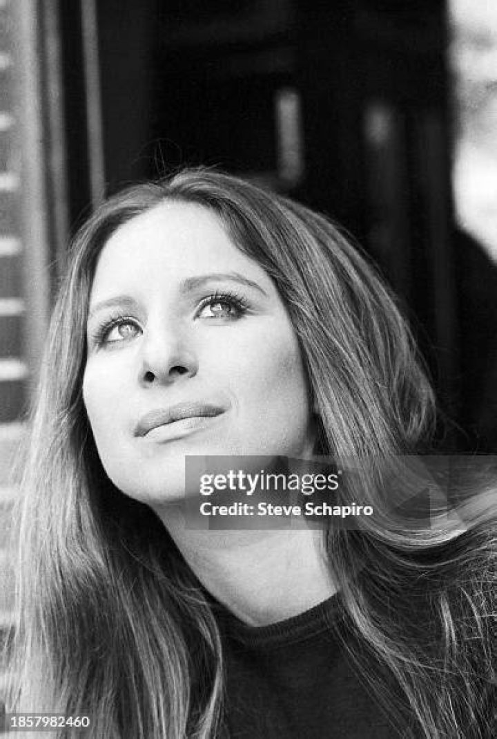 Barbra Streisand's Homeless Stepson Jess Brolin Mirror Online