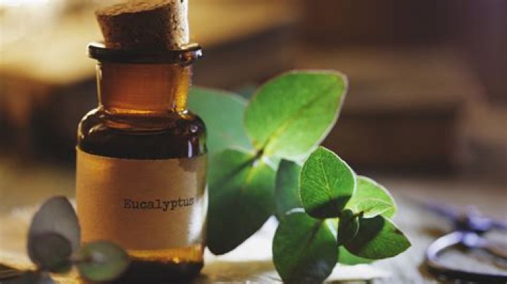Can You Really Put Essential Oils In Your Air Filter?