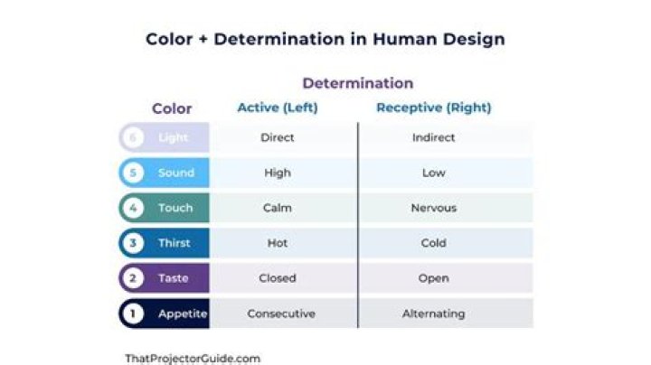 Color and Determination Human Design Human design, Human design