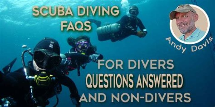 Dive Into "Questions With Answers" Today!