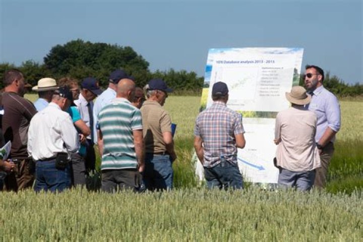 Fieldwise LIVE brings national trials to your screens Arable Farming