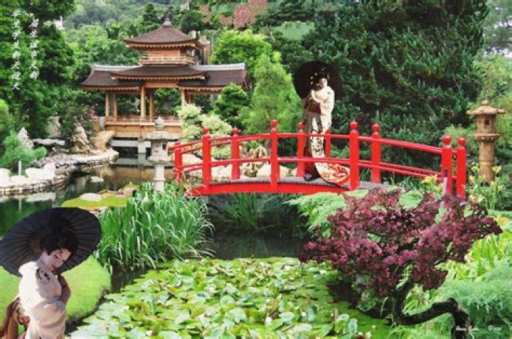 Geisha Garden NYC Sue