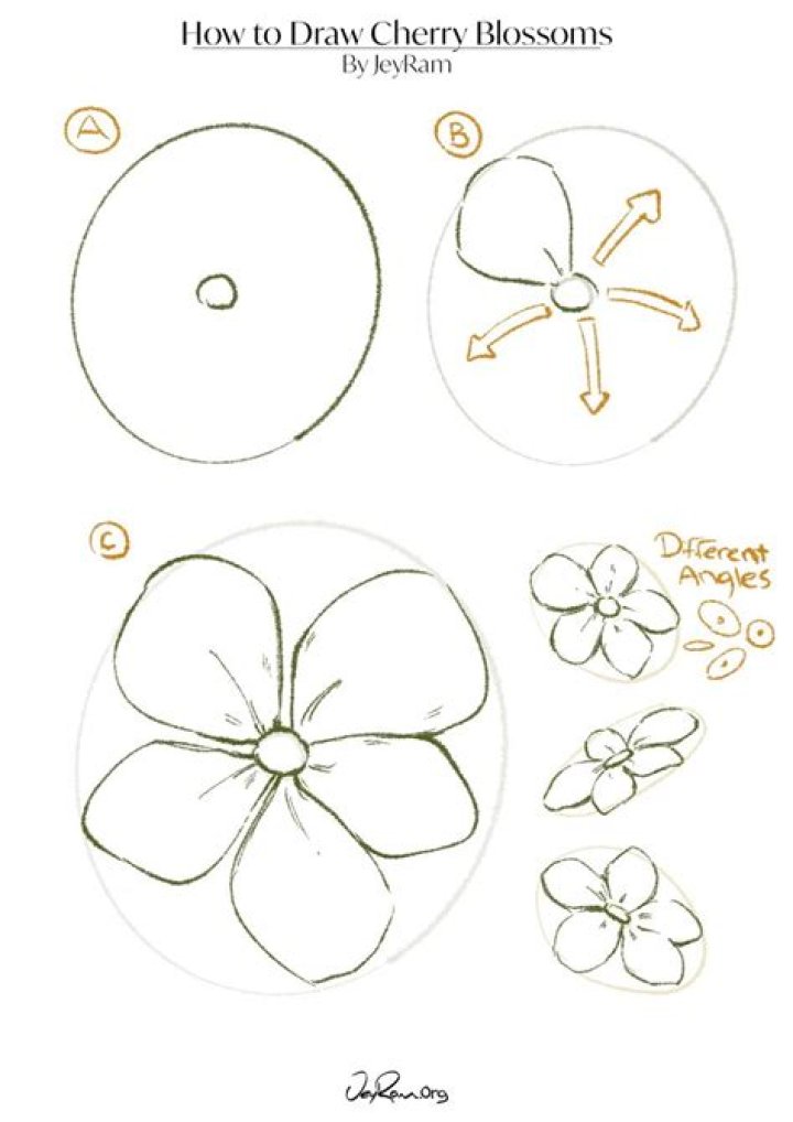 How To Draw Pus Out Sadconsequence Giggmohrbrothers