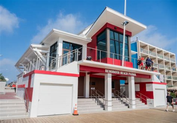 Official Defends Rehoboth Beach Lifeguards Who Threw Dying Shark in