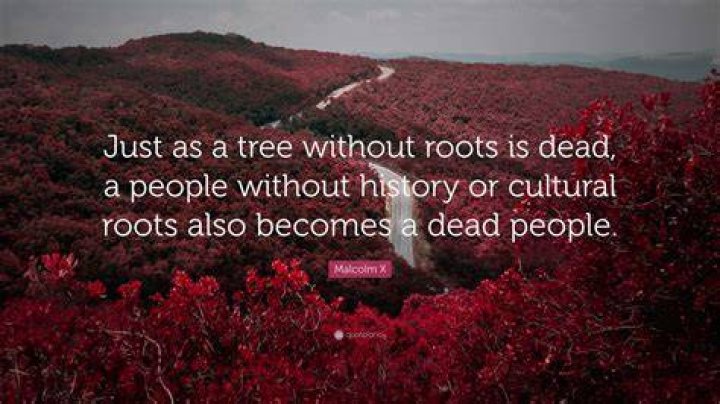 Read A Tree Without Roots Chapter 22 ManhuaScan