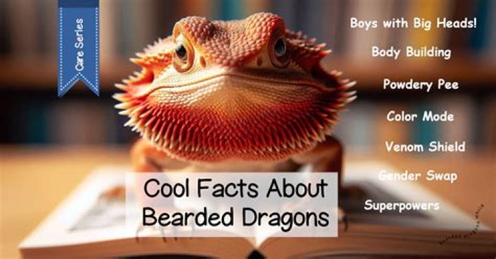Unveiling The Truth About Bearded Dragon Mites: A Visual Guide